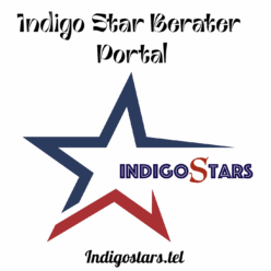 Indigostar Berater Portal 
